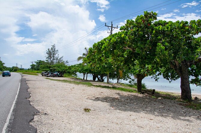 Pachies Seafood With Sightseeing & Transport From Montego Bay - Overview of Pachies Seafood Tour