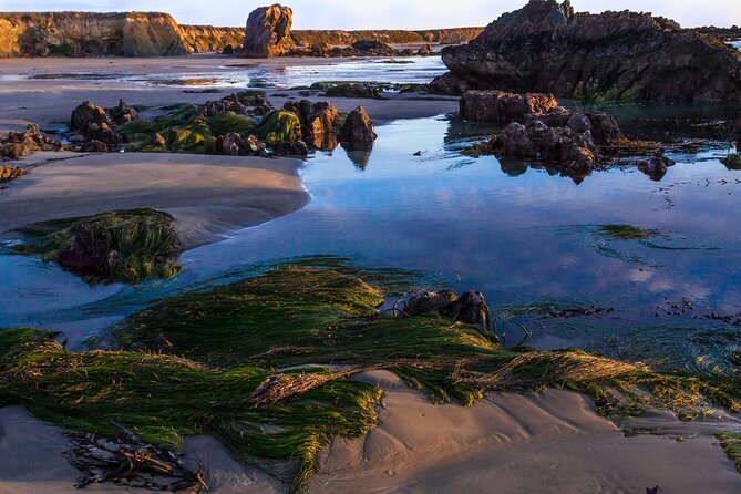 Pacific Coast Highway: Smartphone Audio Tour, LA to Santa Maria - Flexible and Convenient