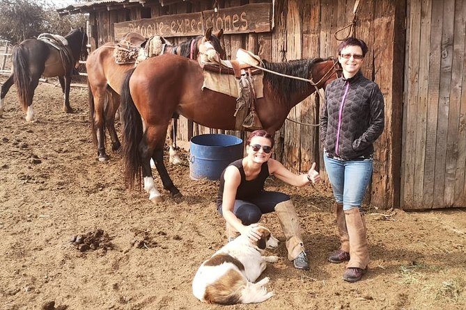 Pacific Horseback Ride on Beach and Sand Dunes - Tour Highlights