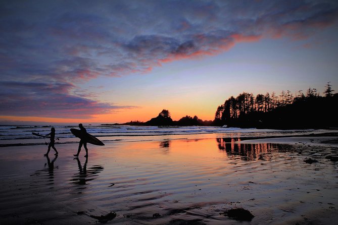 Pacific Rim Tour (Ucluelet & Tofino) - Pricing and Guarantee