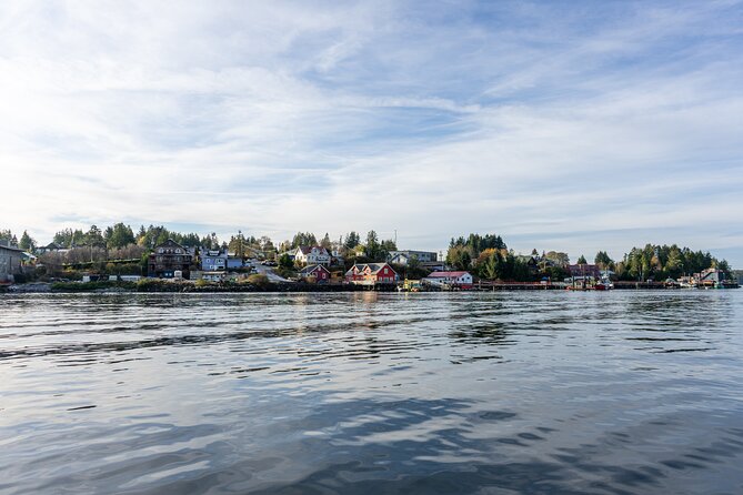 Pacific Rim Tour (Ucluelet & Tofino) - Booking and Availability