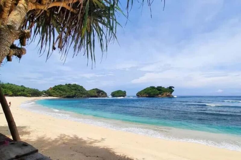 Pacitan: Pantai Watu Karung Beach Day Trip - Who Should Consider This Tour?
