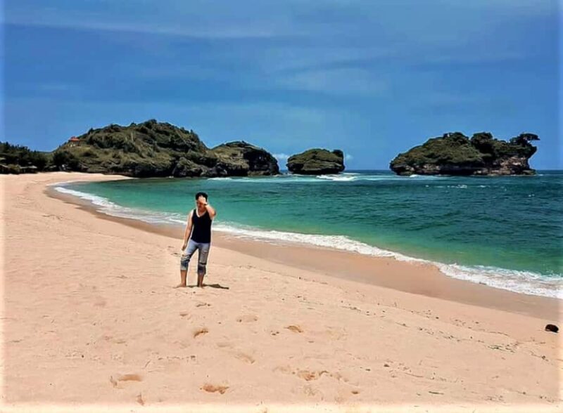Pacitan: Pantai Watu Karung Beach Day Trip - Who Should Consider This Tour?