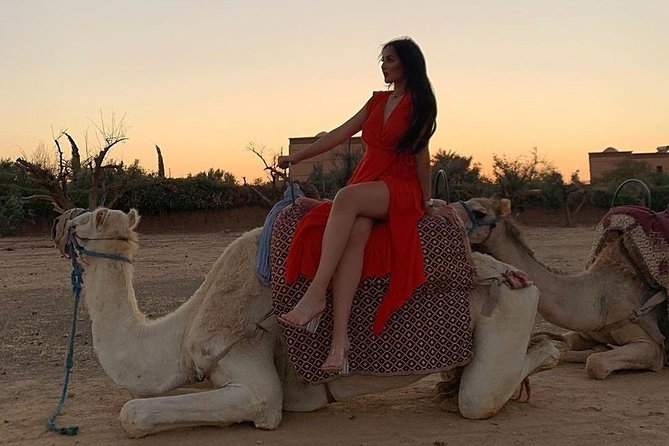 Pack Camel Ride 1 Hour and Quad Biking 2 Hours in Marrakech - Tour Details and Requirements