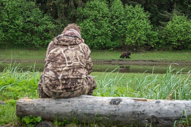 Pack Creek Bear Viewing - Good To Know