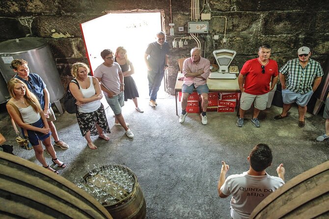 Pack of 3 Tours Porto to Lisbon, Douro Valley, and Braga & Guimarães - Accessibility Details