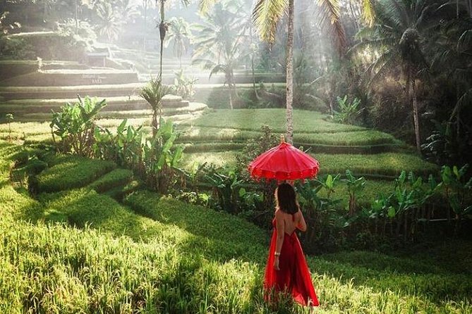 Package 2 Day Tour in Bali All Invlusive ( Instagram Tour and Ubud Tour) - Itinerary Details