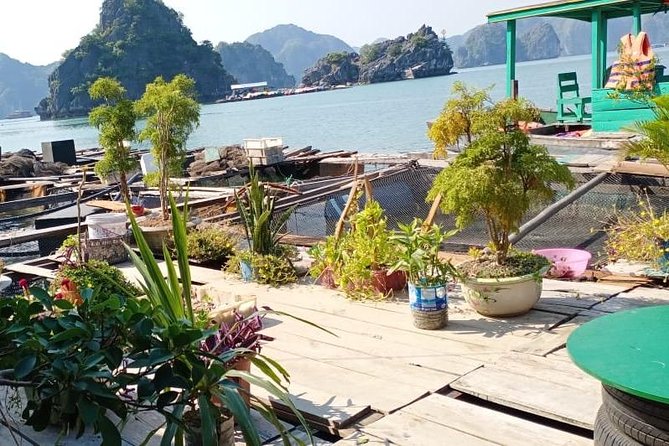 Package: 2Days–1Night (Lan Ha Bay–HaLong Bay-Fisherman Floating House Sleeping) - Dining Options