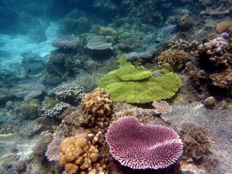 Package 3 days / 2 nights - Final Thoughts: Who Will Love This Tour?