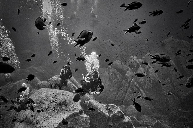 Package of 4 Double Dives in the Capo Carbonara Marine Protected Area - Dive Sites Overview