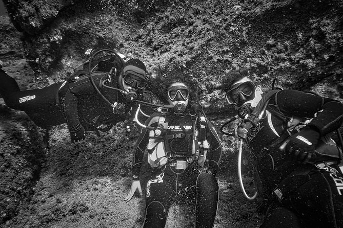 Package of 4 Single Dives to the Capo Carbonara Marine Protected Area - Package Inclusions