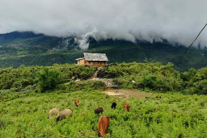 Package Tour Halong and Sapa - Changes and Cut-off Times