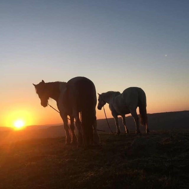 Packhorse Picnic Lake District Full Circle Experiences - Activity Details