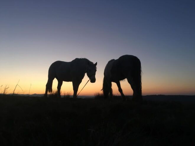 Packhorse Picnic Lake District Full Circle Experiences - Inclusions