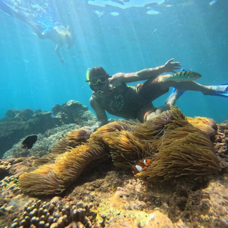 Padang Bai: Blue Lagoon Snorkeling Tour, Lunch & Transfer - Value for Money and Practical Tips