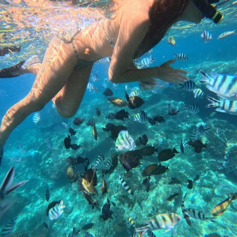 Padang Bai: Blue Lagoon Snorkeling Tour, Lunch & Transfer - FAQ