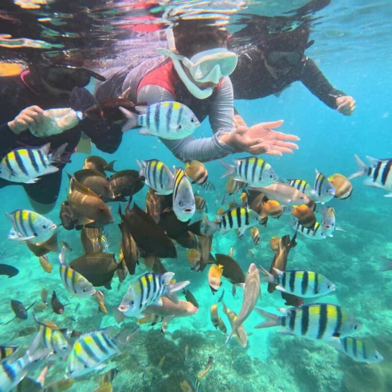Padang Bai: Blue Lagoon Snorkeling Tour, Lunch & Transfer - FAQ