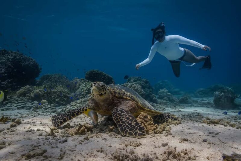 Padang Bai Snorkeling Trip with Lunch and Local Guide - Good To Know