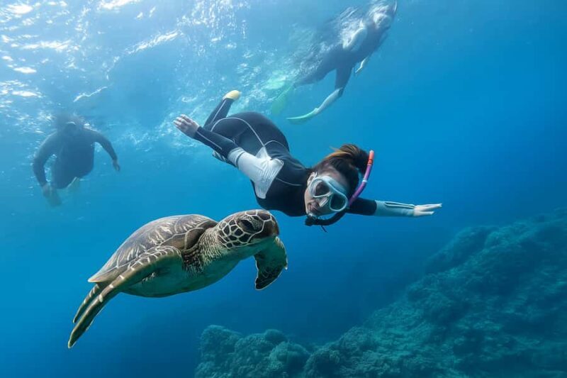 Padang Bai Snorkeling Trip with Lunch and Local Guide - A Closer Look at the Experience