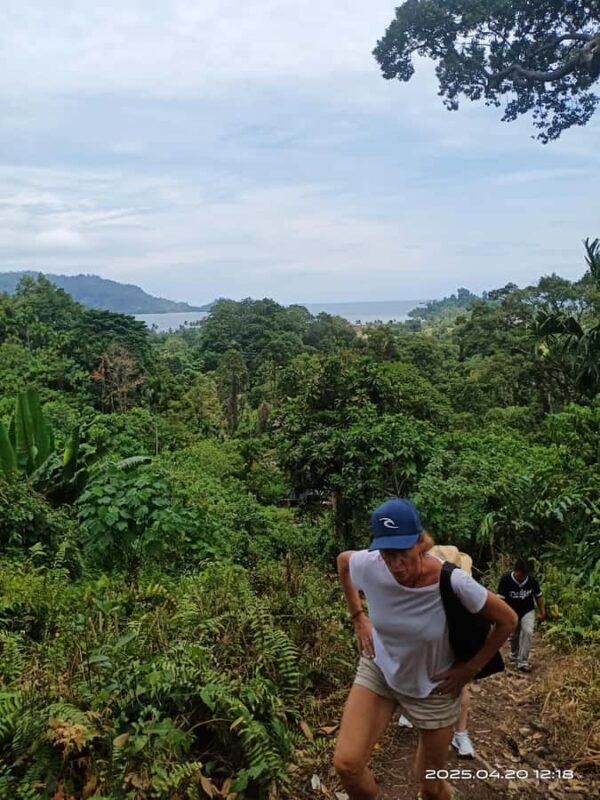 Padang: Lubuk Hitam Waterfall Guided Trekking Tour - Who Will Love This Tour?
