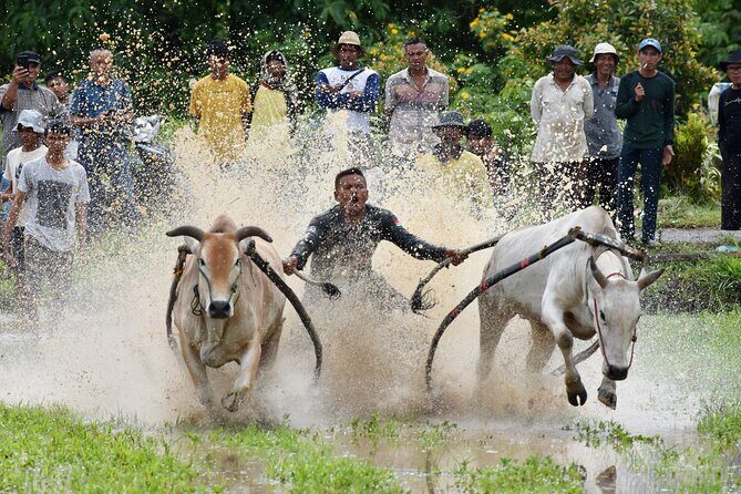Padang West Sumatra 9-Day Private Tour + Mentawai - FAQ