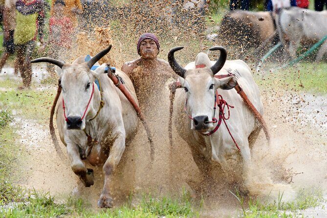 Padang West Sumatra 9-Day Private Tour + Mentawai - Final Words