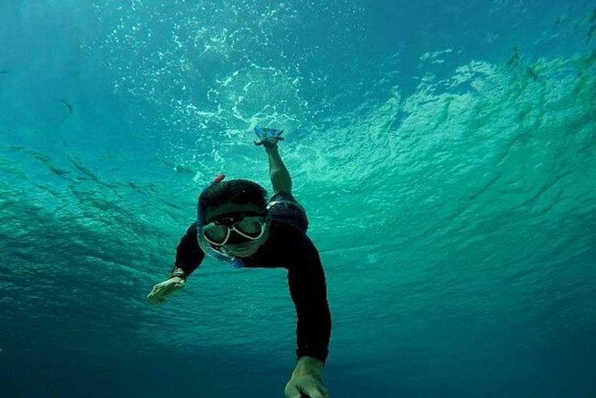 Padangbai Blue Lagoon Snorkeling Trip With Coffee Plantation  - Nusa Dua - Overview of Snorkeling Tour