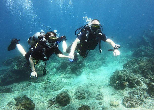 Padangbai Try Scuba Diving Experience: Two Dives With Lunch  - Kuta - Pricing and Booking Details