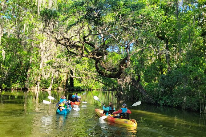 Paddle and Brew Adventure at Tavares in Florida - Pricing and Booking