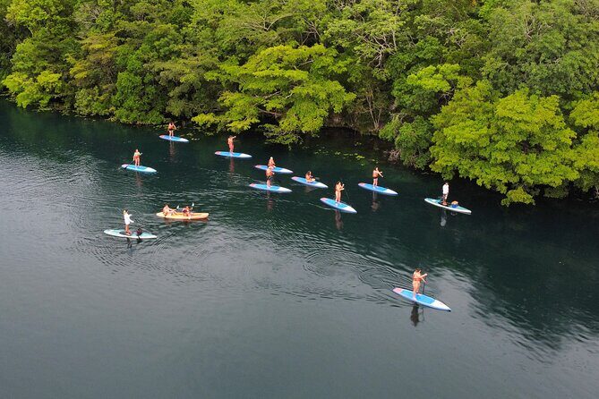 Paddle at Dawn with visit to Cenotes and Islands - Good To Know  