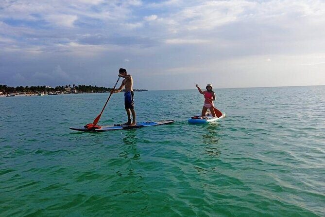 Paddle Board Classes in Holbox with Pick up - Good To Know