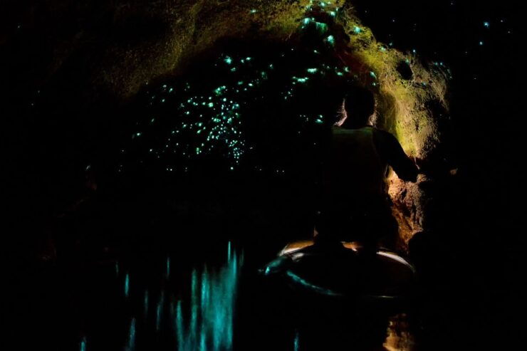 Paddle Board Glow Worm Tour - Activity Details