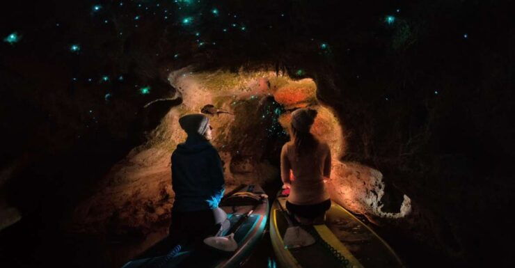 Paddle Board Glow Worm Tour - Experience Highlights