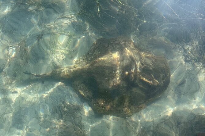 Paddle Board Picnic Peanut Island Palm Beach Singer Island - The Practicalities
