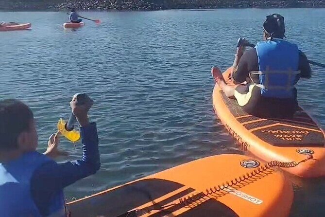 Paddle Board Picnics Lessons Rentals and Outdoor Adventures - Good To Know