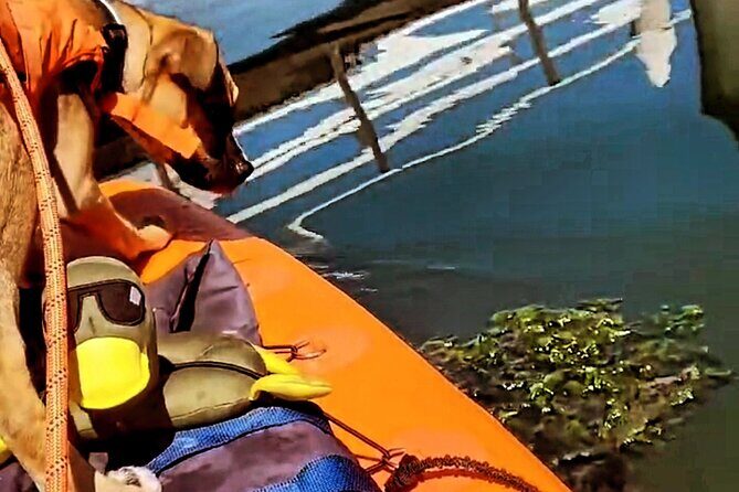 Paddle Board Picnics Lessons Rentals and Outdoor Adventures - FAQs