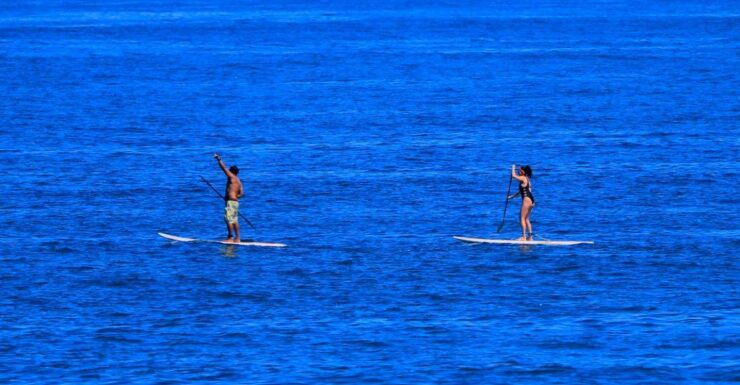 Paddle Board - Booking Information