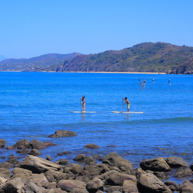 Paddle Board - Experience Details