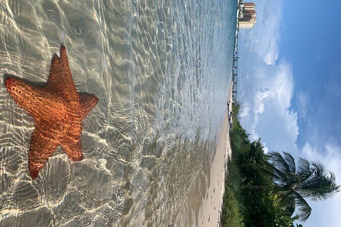 Paddle Boarding Activity to Peanut Island - FAQ