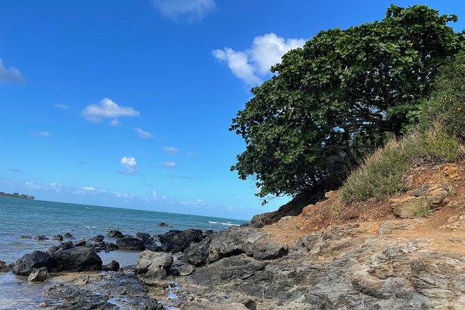 Paddle Boarding and Hiking Adventure at Mokolii Island. - Pickup Details