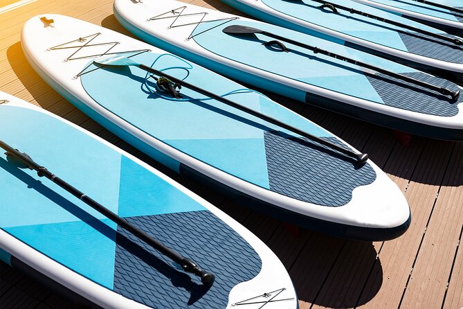 Paddle Boarding Lesson in Torrevieja - Additional Info