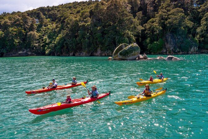 Paddle in Abel Tasman and Pedal the Great Taste Trail - Good To Know