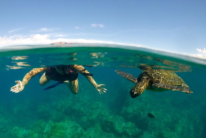 Paddle, Snorkel and Learn to Surf - All in a Day on Maui (South Side) - Tour Highlights and Positive Reviews