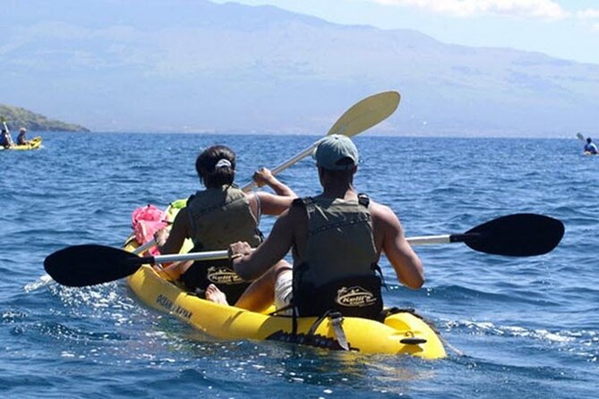 Paddle, Snorkel and Learn to Surf - All in a Day on Maui (South Side) - Mixed Reviews