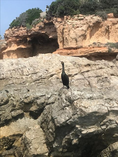 Paddle Surf Course, Cave Visit, Coves, Snorkeling - Location and Accessibility