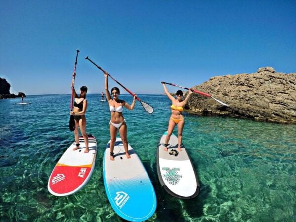 Paddle Surf Course - Snorkeling and Return