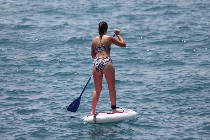 Paddle Surf - What Is Paddle Surf?