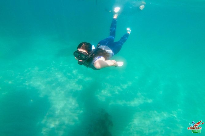 Paddle Surf Route Cliffs Nerja and Cascada De Maro Snorkel - Wildlife Encounters in the Mediterranean Sea
