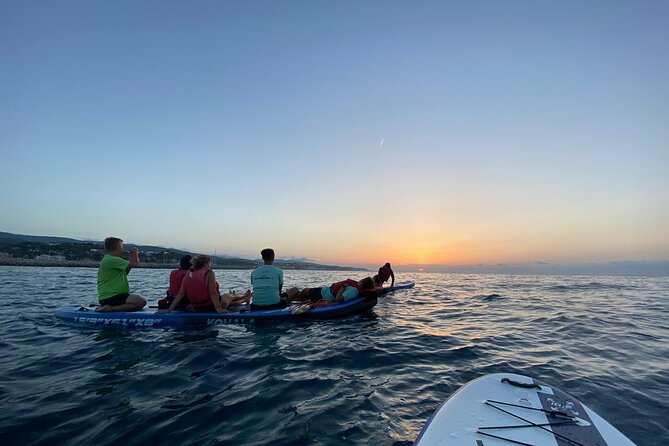Paddle Surf School & Sunrise - What to Expect During the Experience