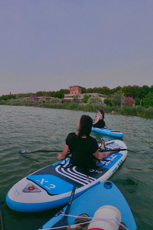 Paddle Surf Tour: Historic Seville, Triana and La Cartuja - Good To Know